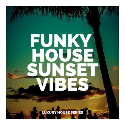 Funky House Sunset Vibes's cover