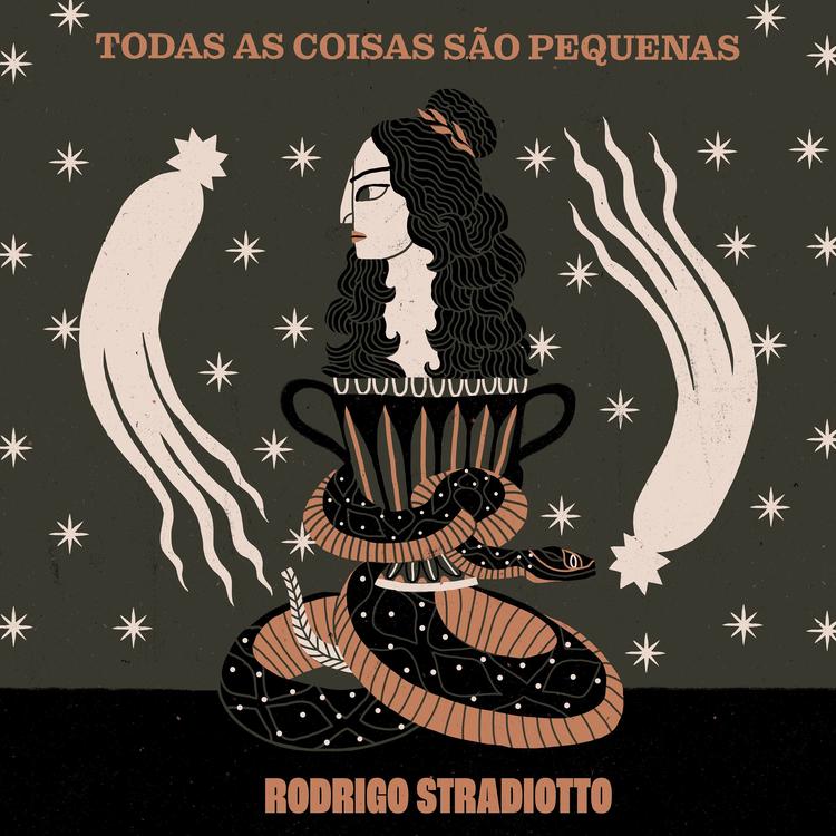 Rodrigo Stradiotto's avatar image