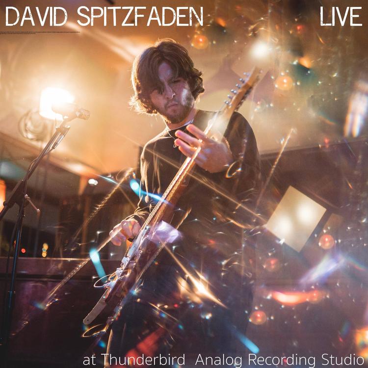 David Spitzfaden's avatar image