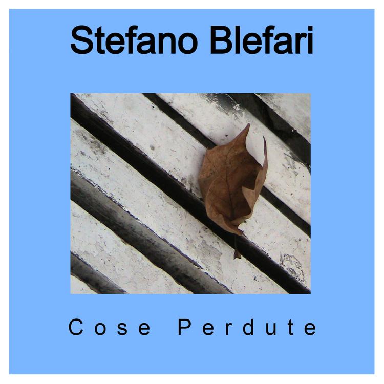 Stefano Blefari's avatar image