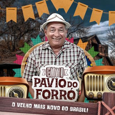 O Velho Mais Novo do Brasil's cover