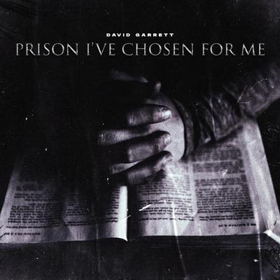 Prison I've Chosen For Me By David Garrett's cover