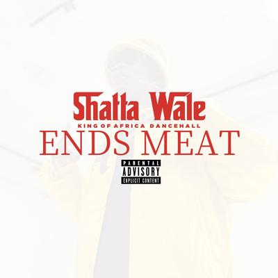 Ends Meat By Shatta Wale's cover