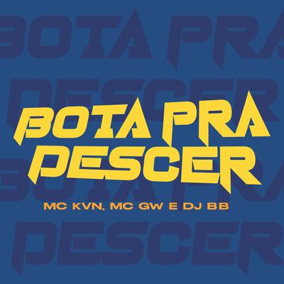 Bota pra Descer's cover
