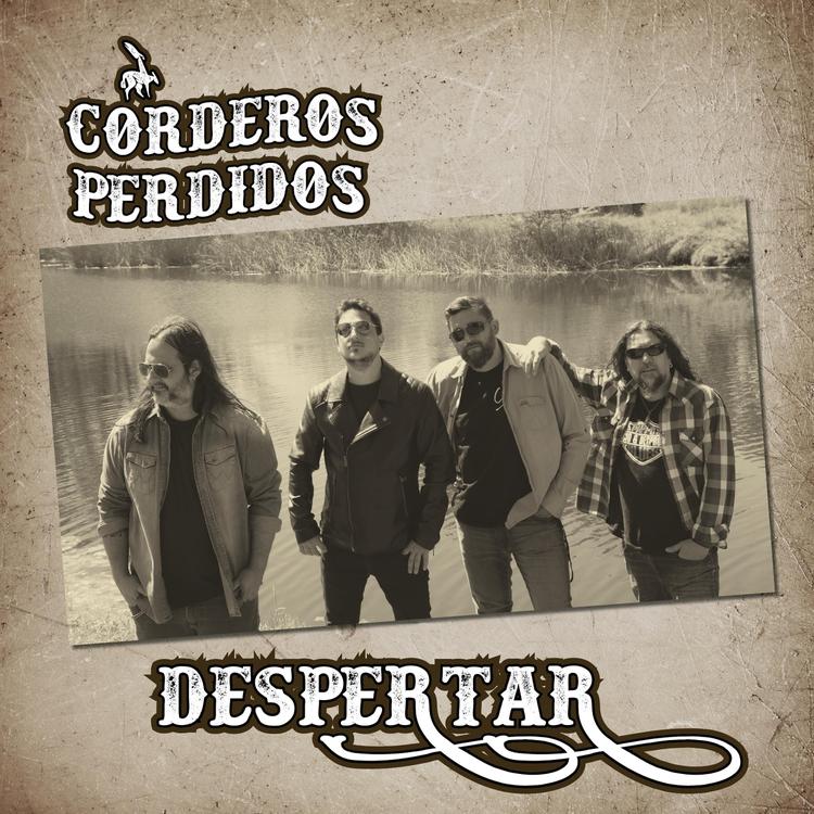 Corderos Perdidos's avatar image