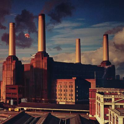Pigs (Three Different Ones) [2011 Remastered Version] By Pink Floyd's cover