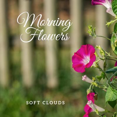 Soft Clouds's cover