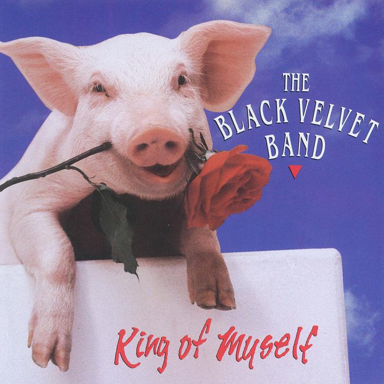 The Black Velvet Band's avatar image