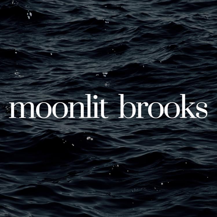 Moonlit Brooks's avatar image