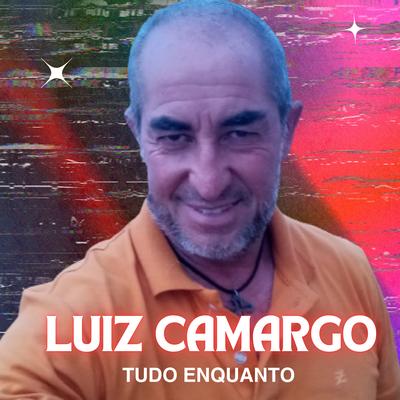 No Lugar Errado By Luiz Camargo's cover