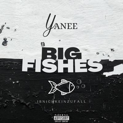 Big Fishes By Yanee's cover