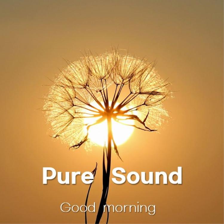 Pure Sound's avatar image