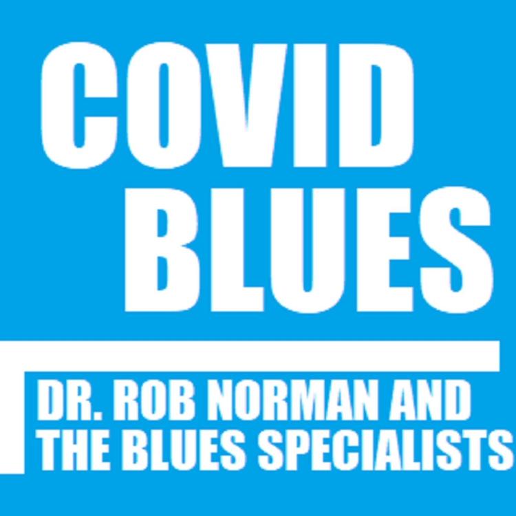 Dr. Rob Norman and The Blues Specialists's avatar image