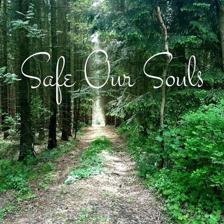 Safe Our Souls's avatar image