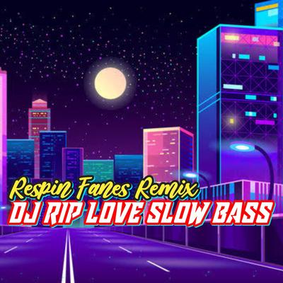 DJ RIP LOVE SLOW BASS's cover