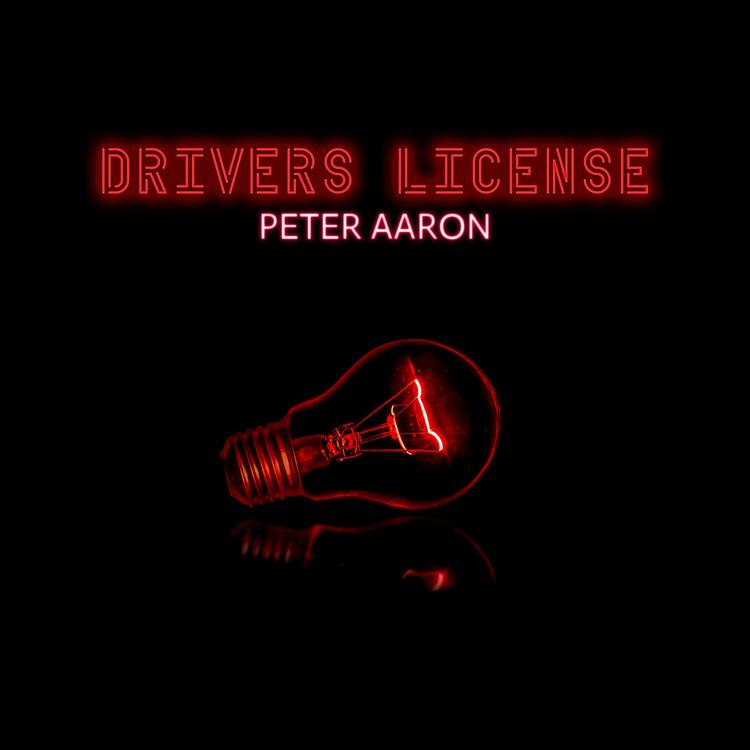 Peter Aaron's avatar image