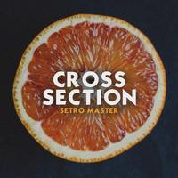 Setro Master's avatar cover