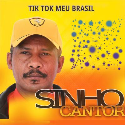 Tik Tok Meu Brasil By Sinho Cantor's cover