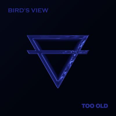 Too Old By Bird's View's cover