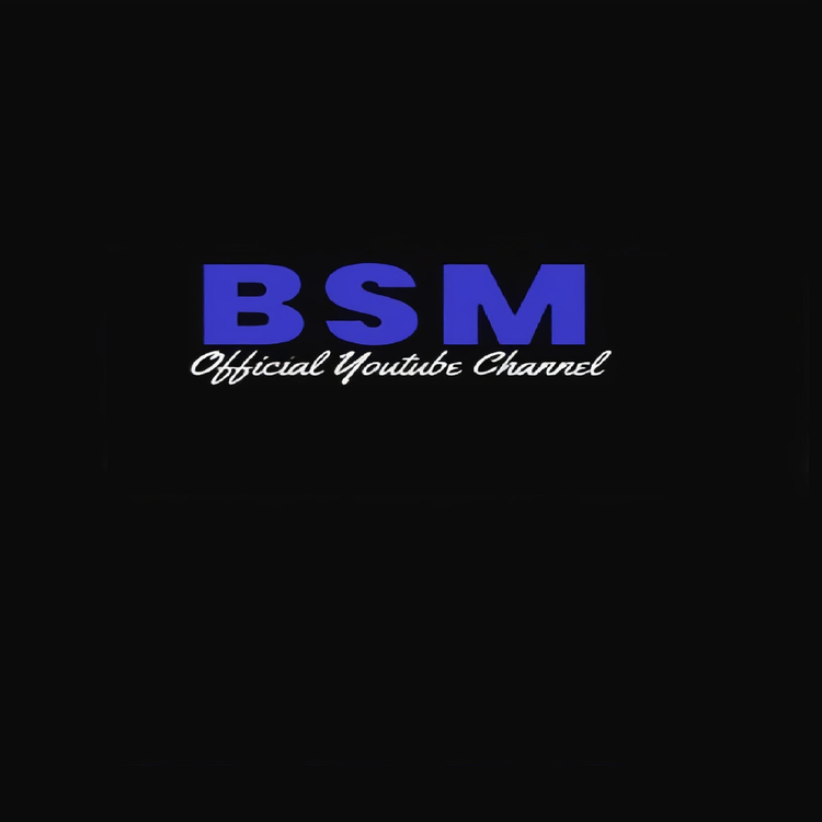 BSM009's avatar image