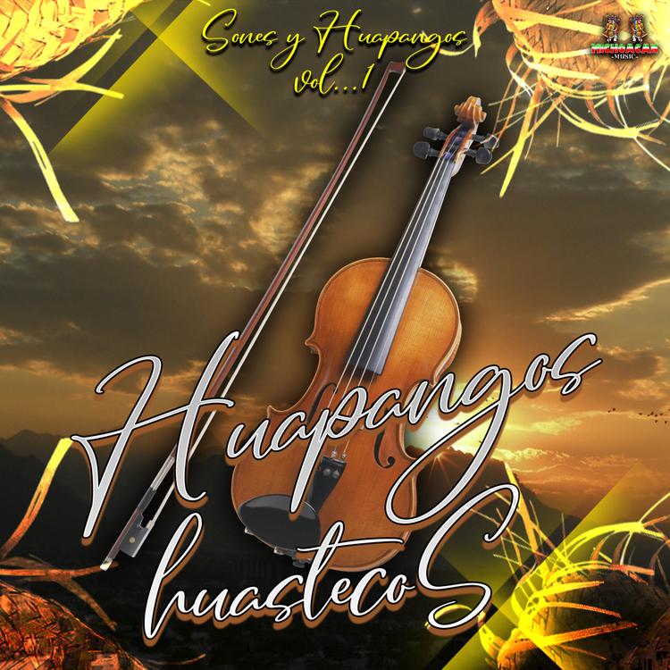 Huapangos Huastecos's avatar image