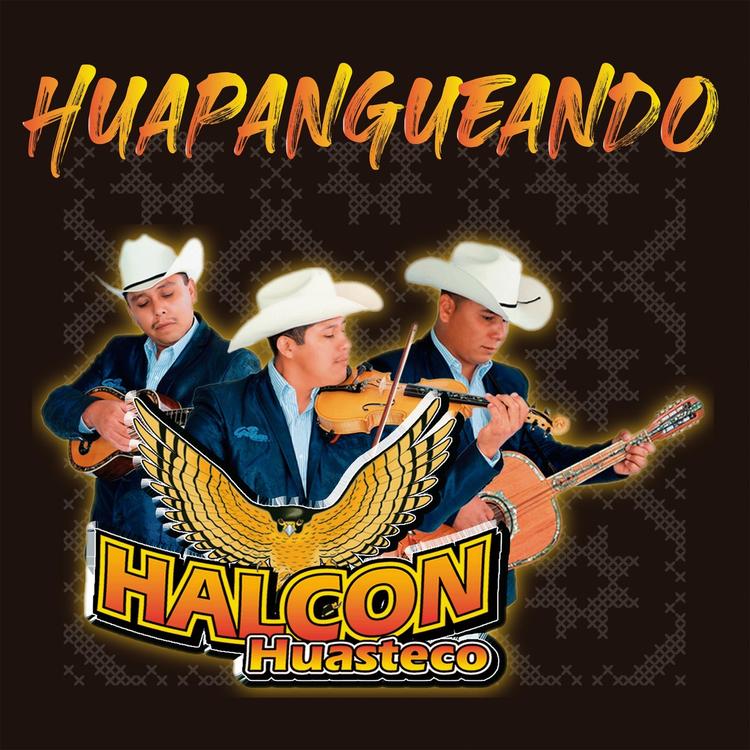 Halcon Huasteco's avatar image