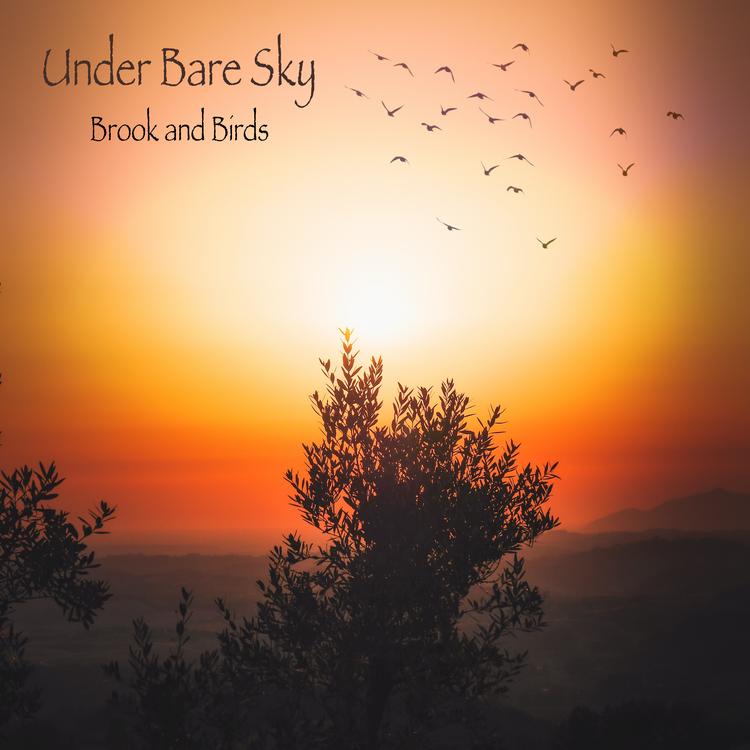 Under Bare Sky's avatar image