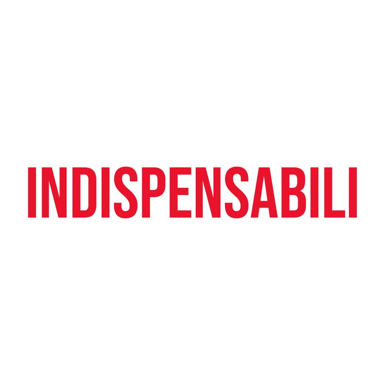 Indispensabili's avatar image