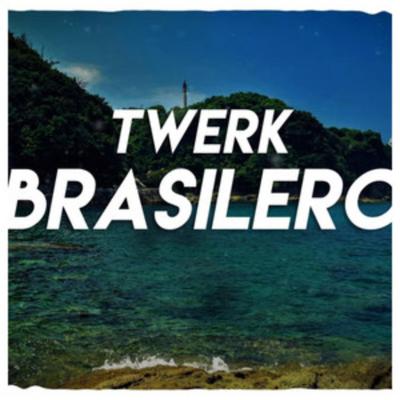 Twerk Brasilero's cover