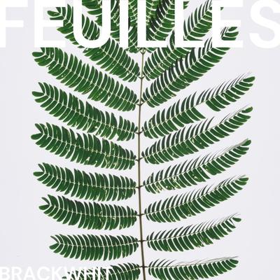 Feuilles By Brackwhit's cover