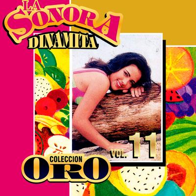 Calvo y Cabezón By La Sonora Dinamita's cover