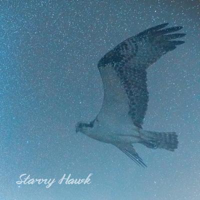 Starry Hawk By Bliss Looper's cover