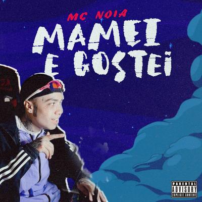 Mamei e Gostei By Mc Noia's cover