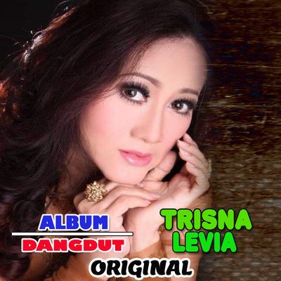 TRISNA LEVIA's cover