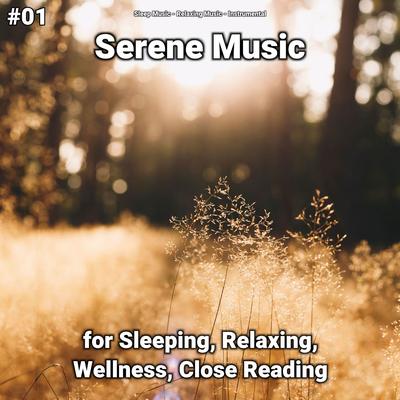 #01 Serene Music for Sleeping, Relaxing, Wellness, Close Reading's cover