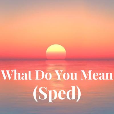 What Do You Mean (Sped) By Justin Bieber's cover