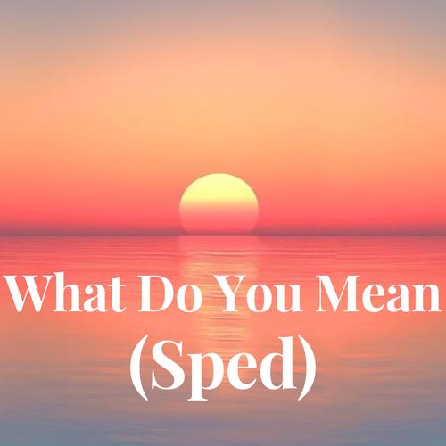 What Do You Mean (Sped)'s cover