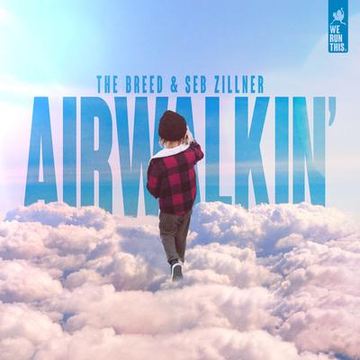 Airwalkin' By The BREED, Seb Zillner's cover