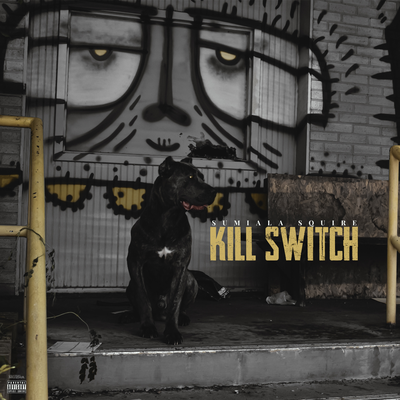 Kill Switch By Sumiala Squire's cover