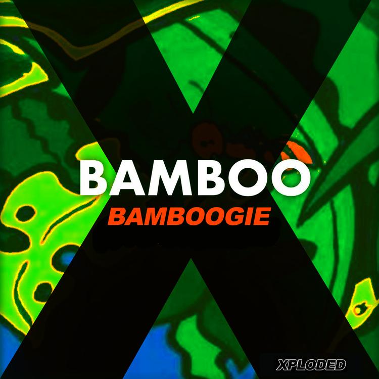 Bamboo's avatar image