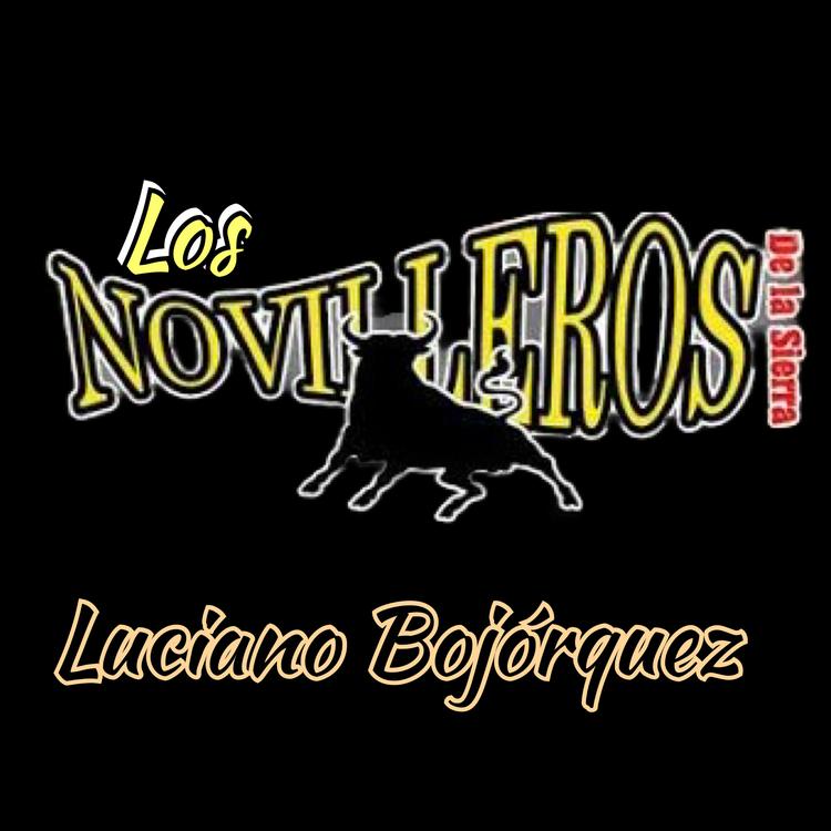 Los Novilleros De La Sierra's avatar image