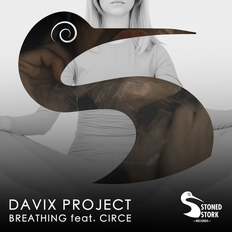 Davix Project's avatar image