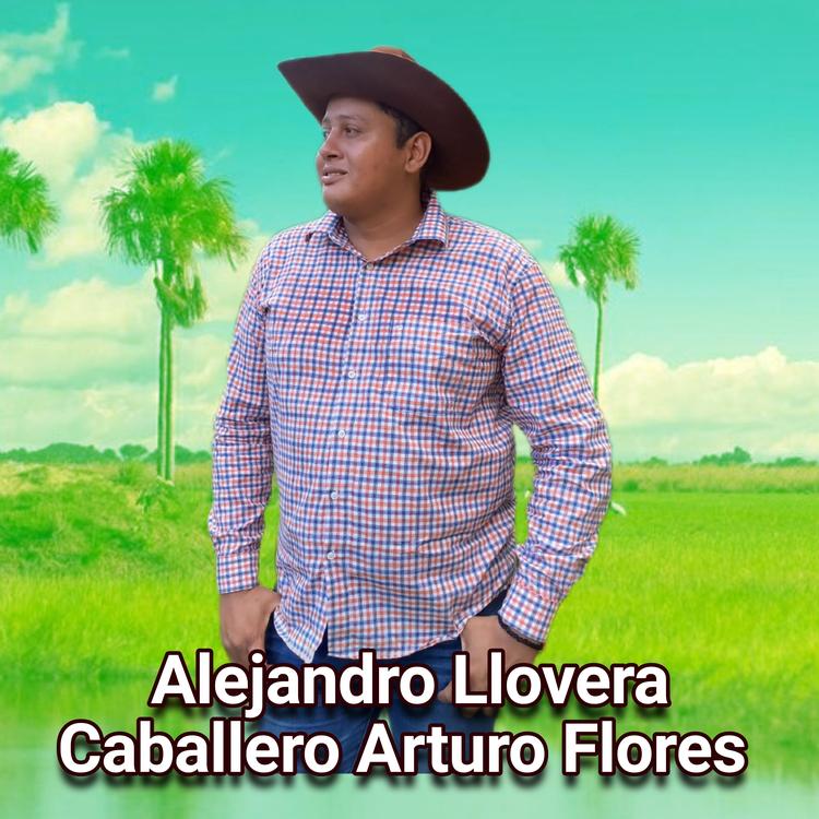 Alejandro Llovera's avatar image