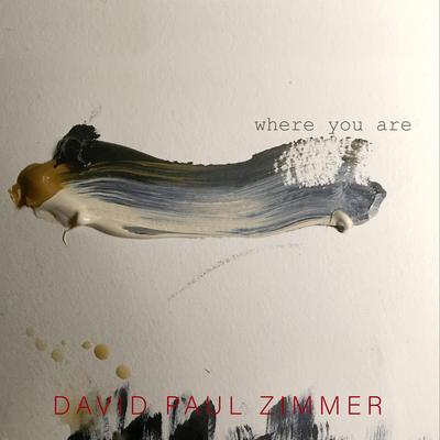 David Paul Zimmer's cover