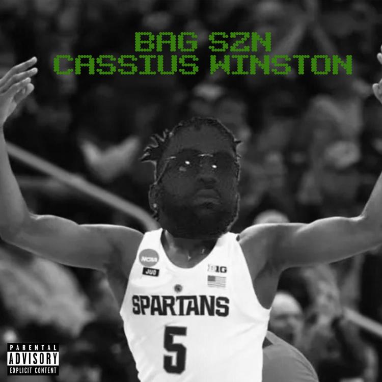 BAG SZN's avatar image