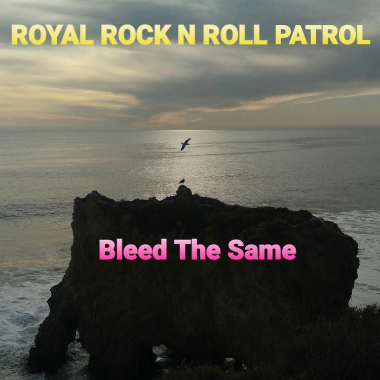 Royal Rock N Roll Patrol's avatar image