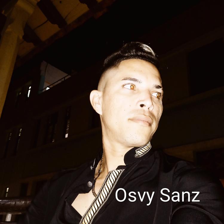 Osvy Sanz's avatar image