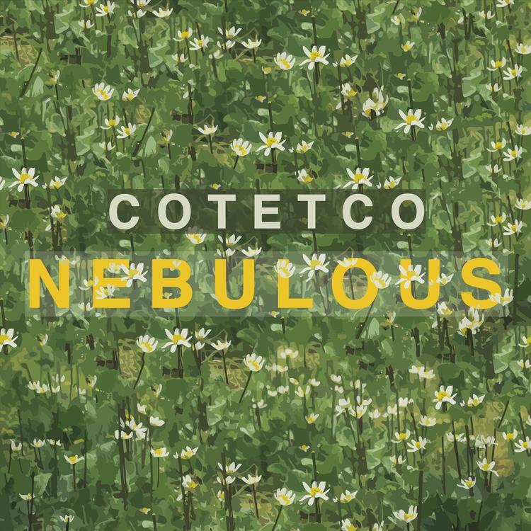Cotetco's avatar image