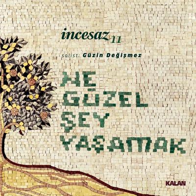 İncesaz's cover