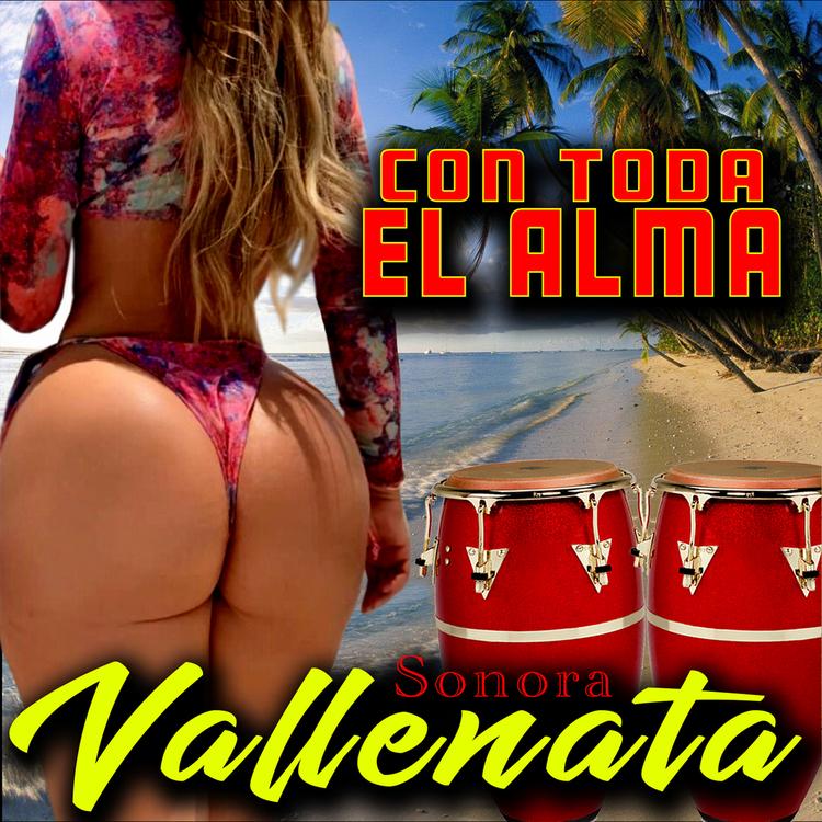 Sonora Vallenata's avatar image